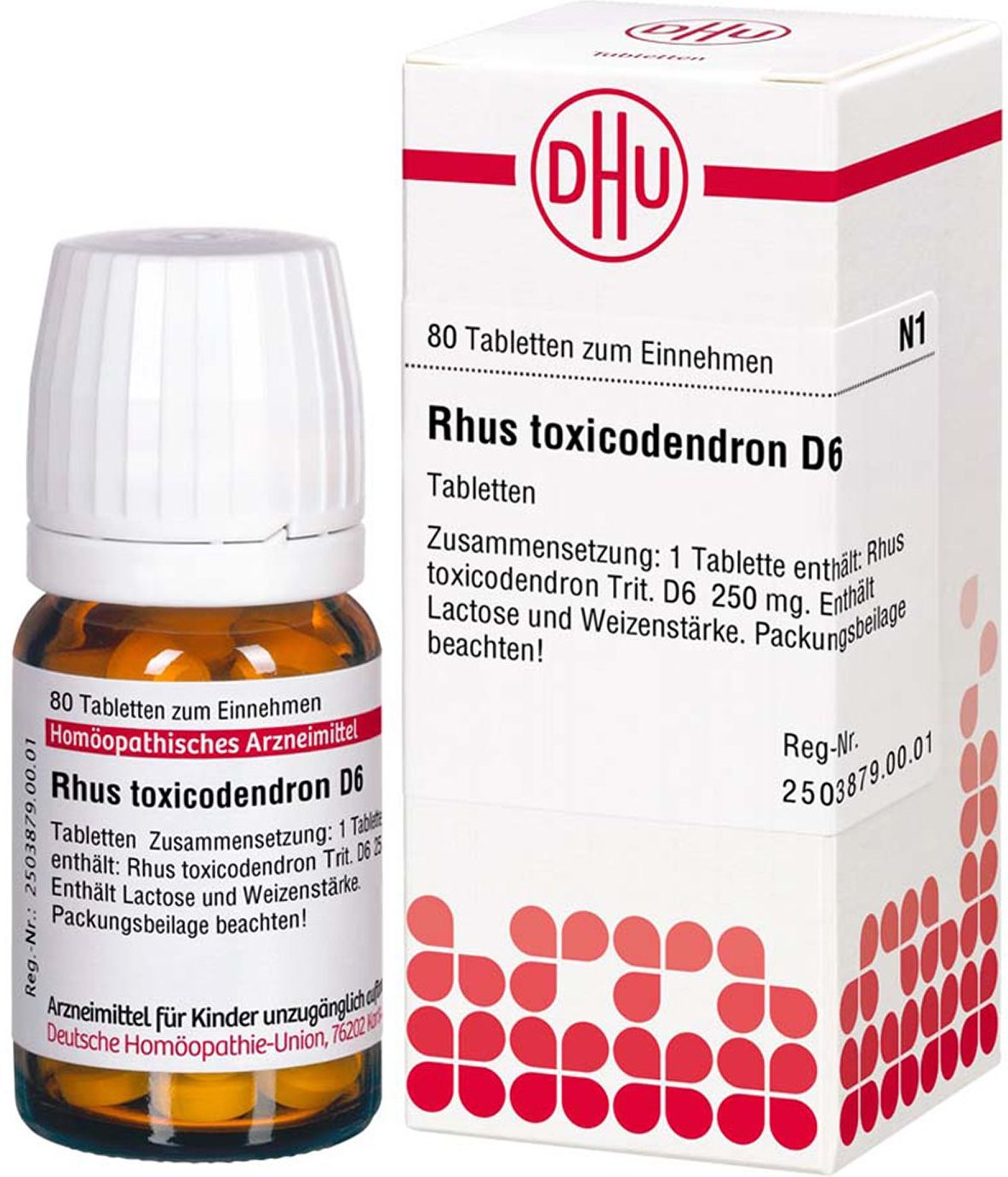 Rhus Toxicodendron D 6 Tabletten 80 St