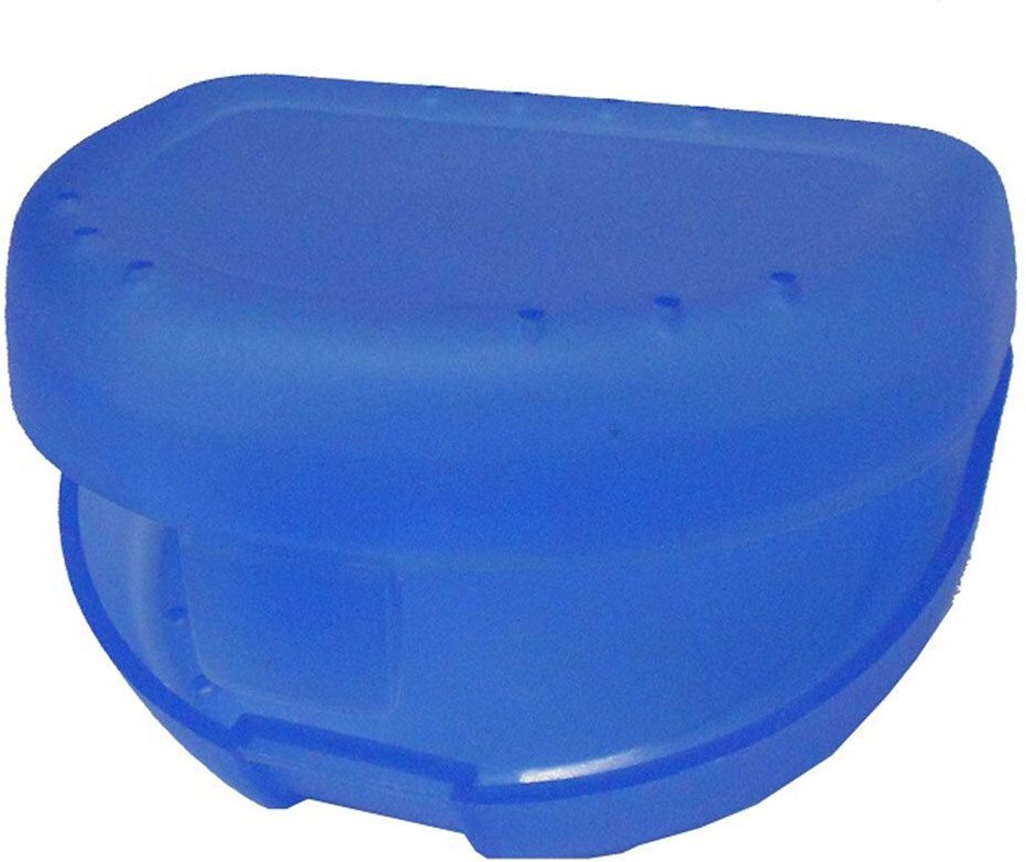 Zahnspangenbox small hellblau transparent