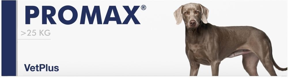 Promax Large Breed 30Ml 30 ml Paste