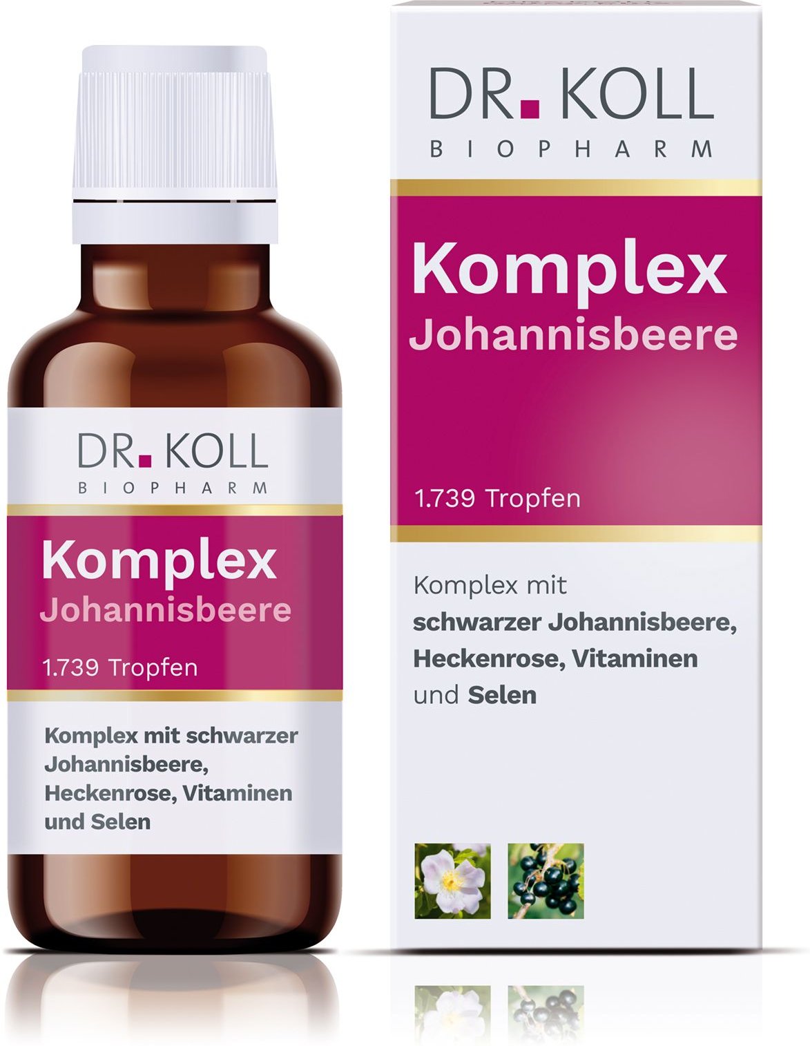 Komplex Johannisbeere Dr. Koll Gemmo Heckenrose Tropfen