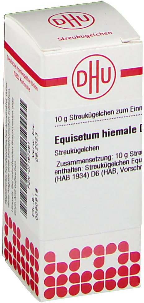 Equisetum Hiemale D 6 Globuli 10 g