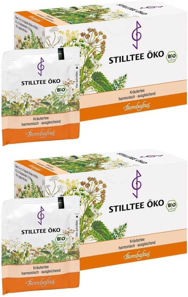 Stilltee Oeko Bio 2x 2x20x2 g Filterbeutel