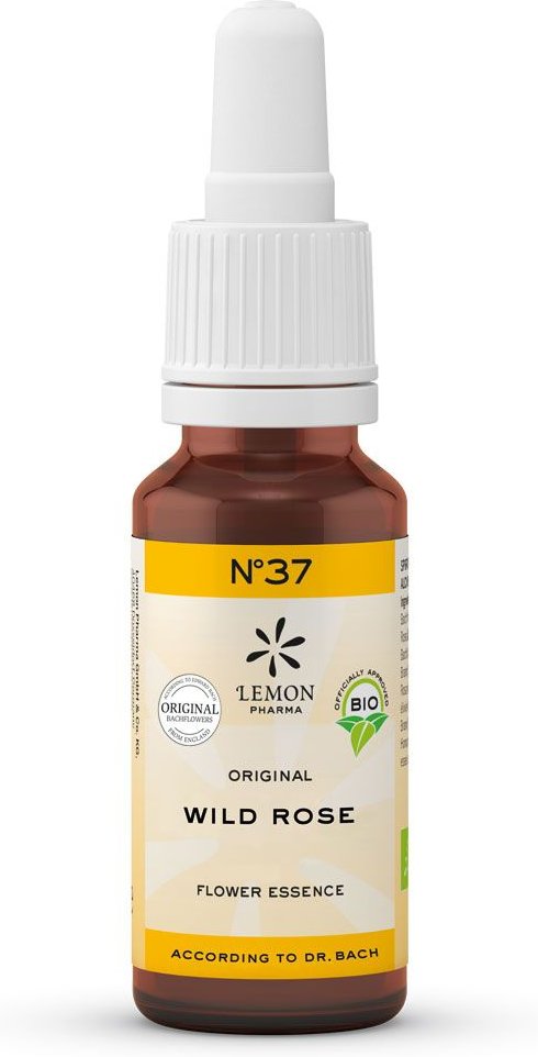 Bachblüten No.37 Wild Rose Bio 20 ml