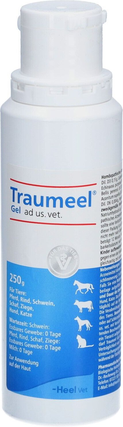 Traumeel Gel ad us.vet. 250 g