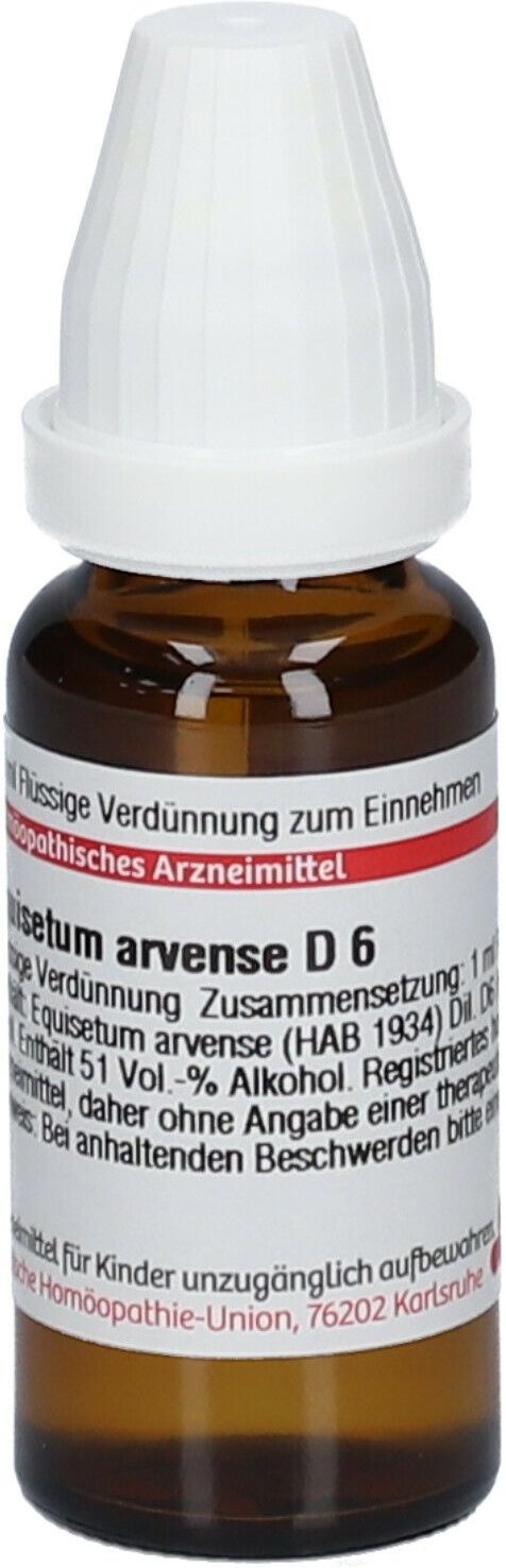 Equisetum Arvense D 6 Dilution 20 ml