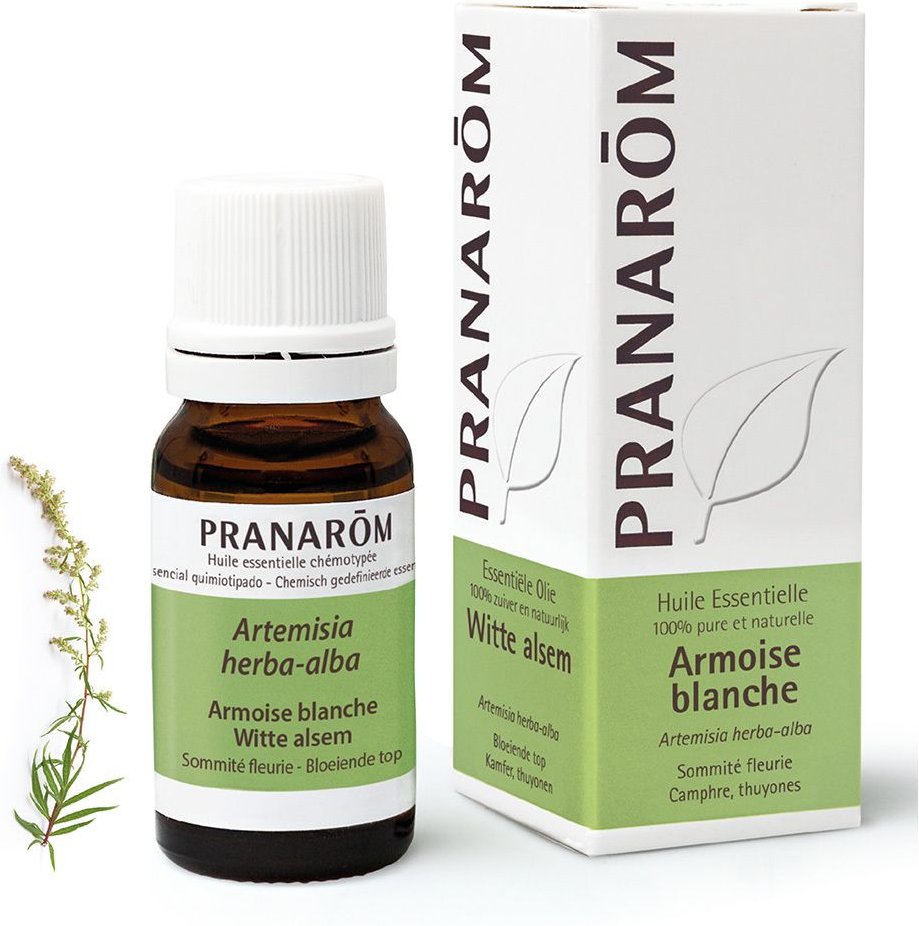 Thumbnail - Pranarom Alsem Wit 61 Essentiële Olie 10 ml Ätherisches Öl