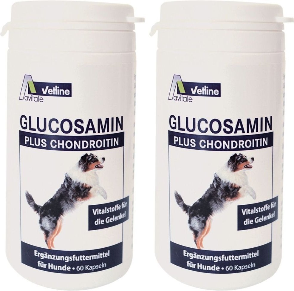 Glucosamin+Chondroitin Kapseln f.Hunde 2x 2x60 St