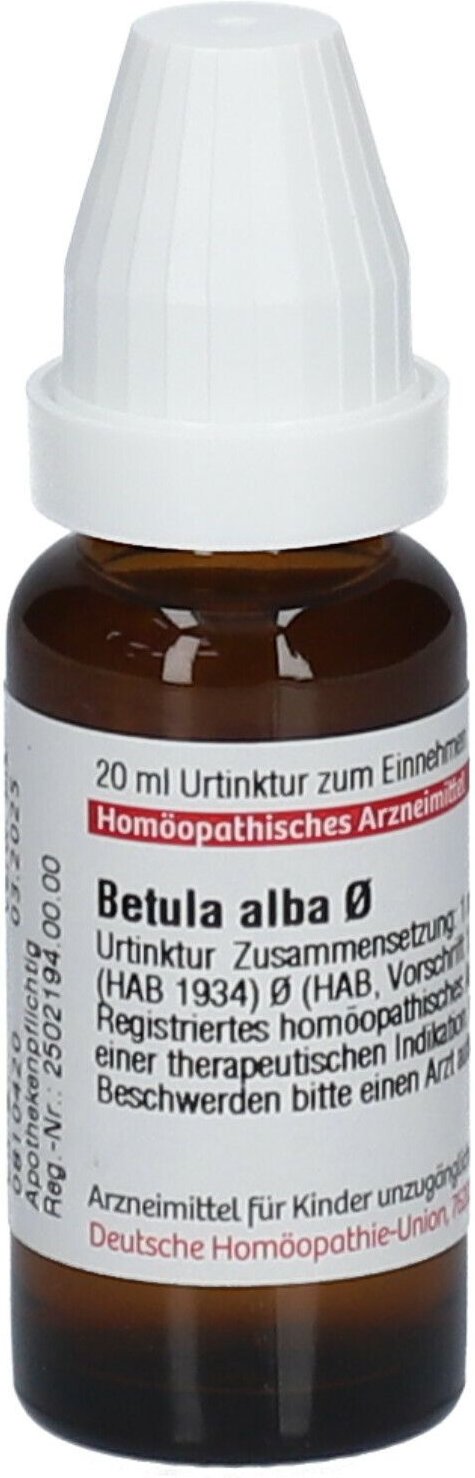 Betula Alba Urtinktur 20 ml Dilution