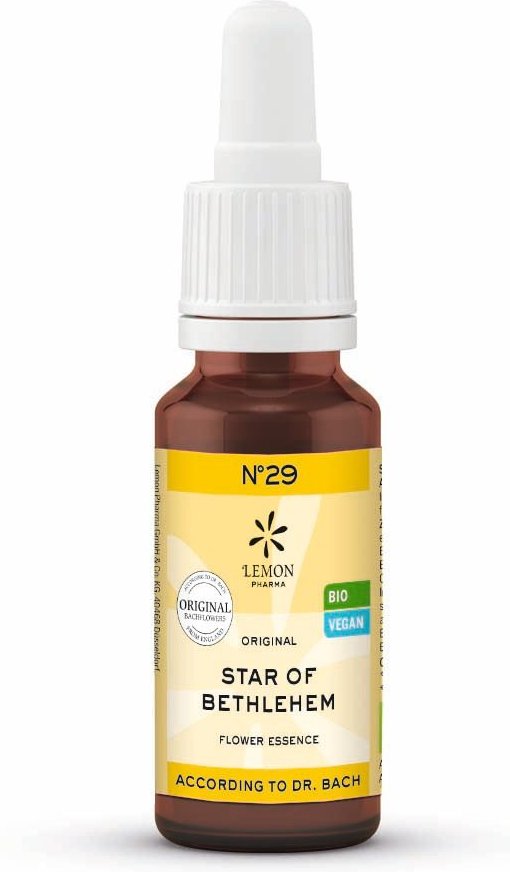 Bachblüten No.29 Star of Bethlehem Bio 20 ml Lösung