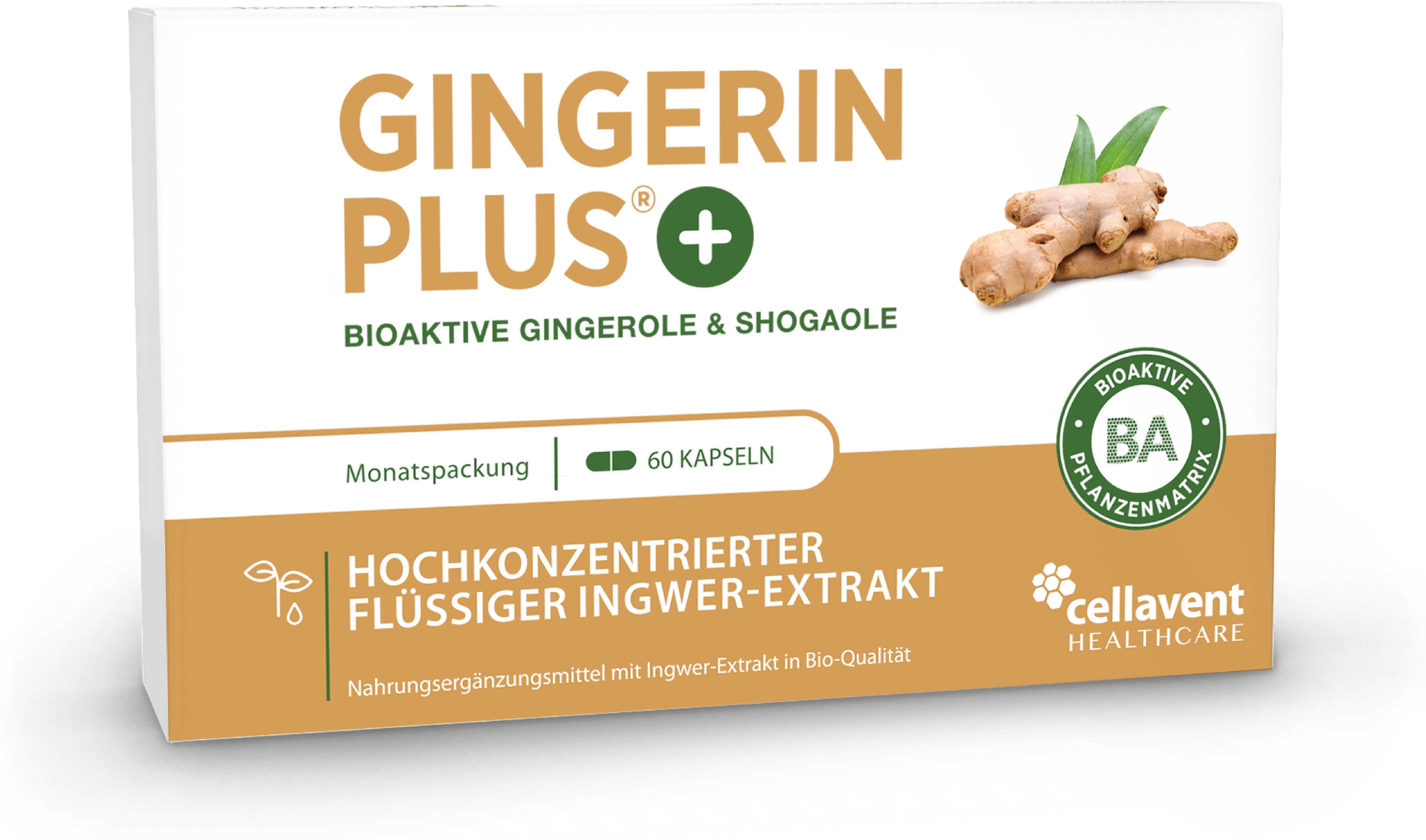 Gingerin Plus Bio 60 St Kapseln