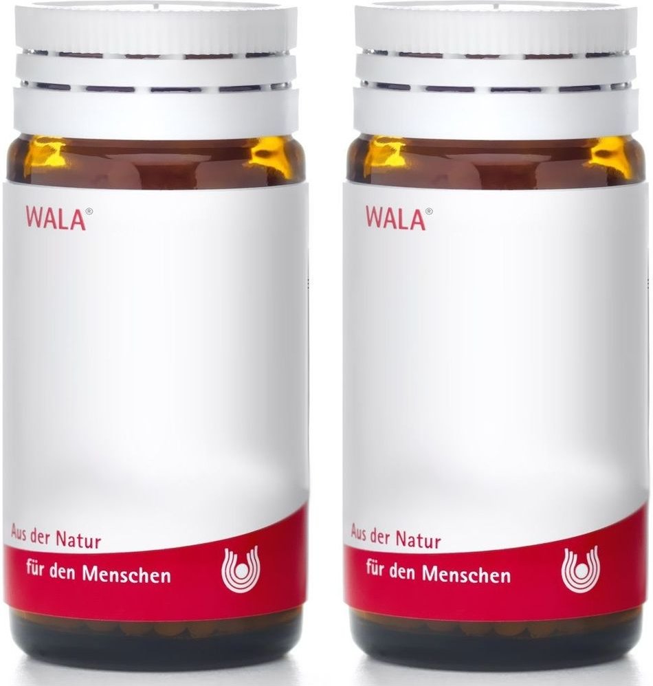 Cactus Comp.ii Globuli 2x 2x20 g