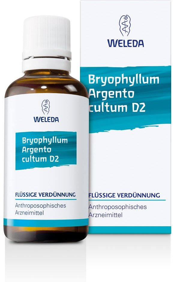Thumbnail - Bryophyllum Argento cultum D 2 Dilution 50 ml