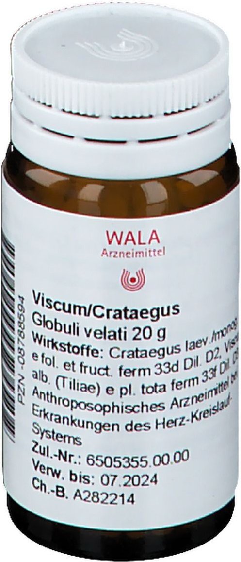 Viscum Crataegus Globuli