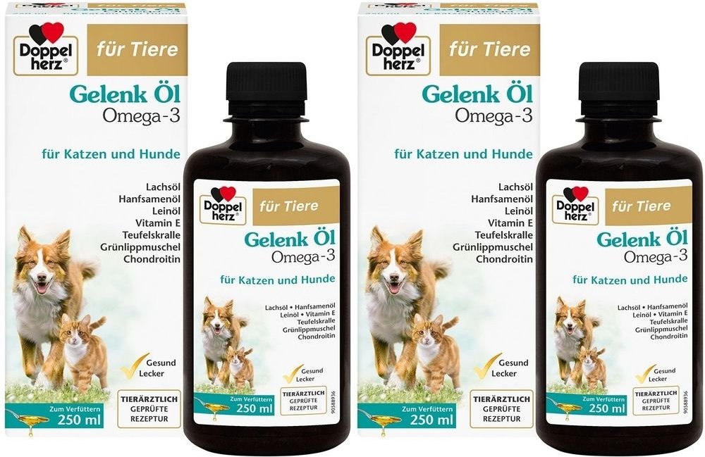 Doppelherz Gelenk OEL Ka+H x2 2x250 ml Flüssigkeit