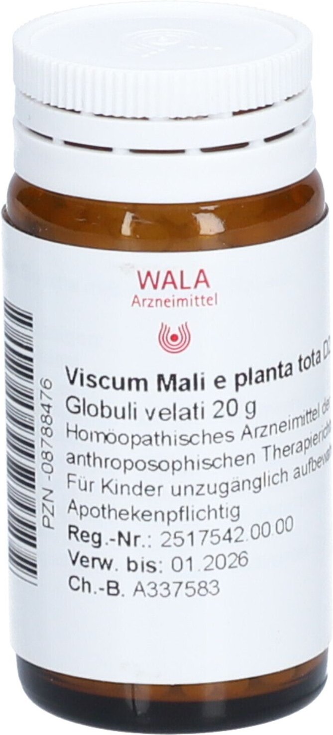 Viscum Mali e planta tota D 2 Globuli 20 g