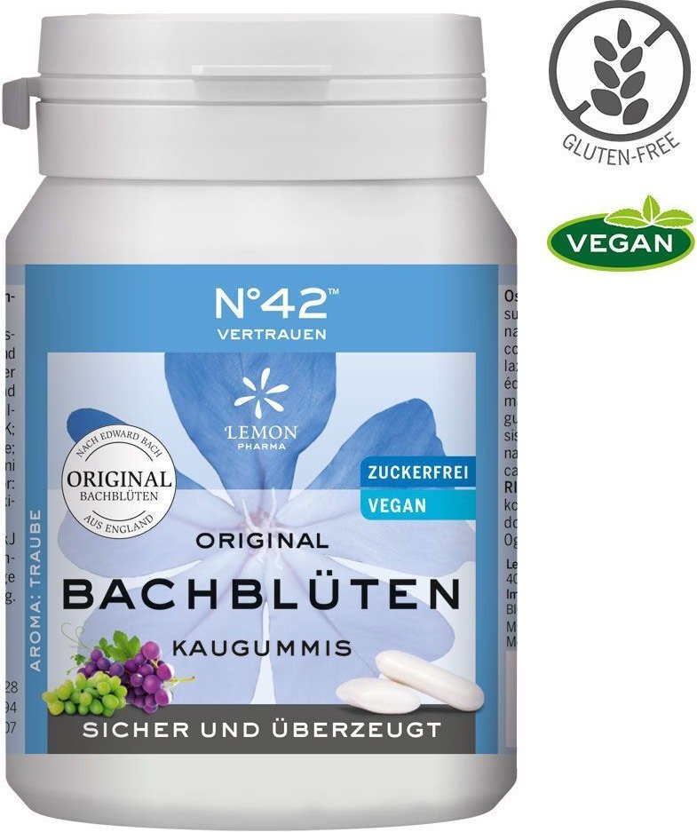 Selbstvertrauen Kaugummi nach Dr.Bach 40 St