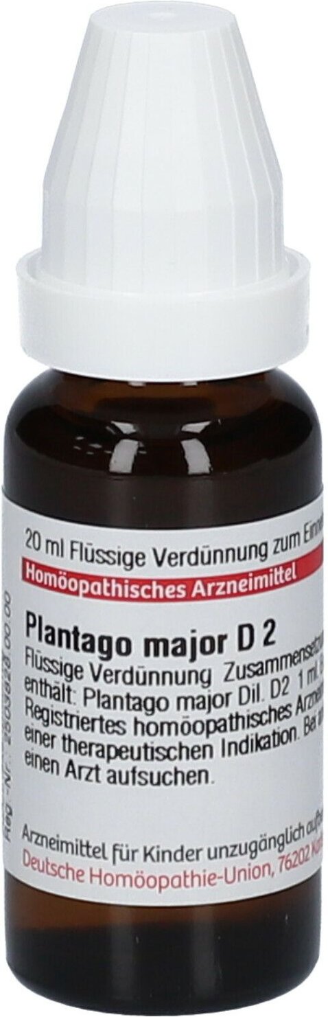 Plantago Major D 2 Dilution 20 ml