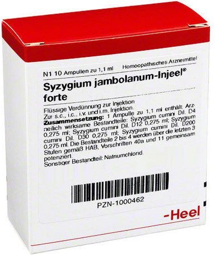 Syzygium Jambolanum Injeel forte Ampullen 10 St