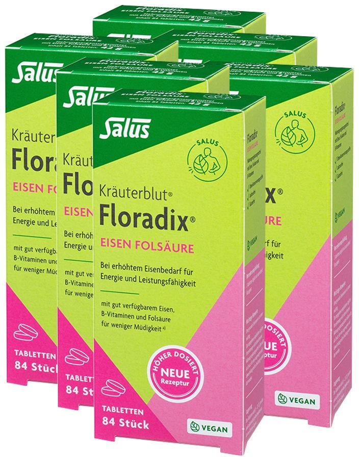 Floradix Eisen Folsaeure Sechserpack 6x84 St Tabletten