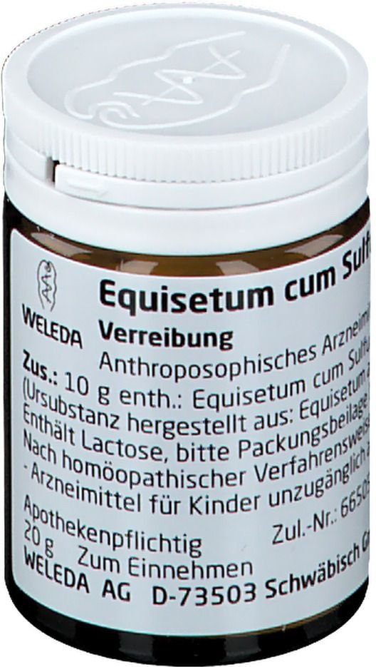 Equisetum CUM Sulfure tostum D 6 Trituration 20 g