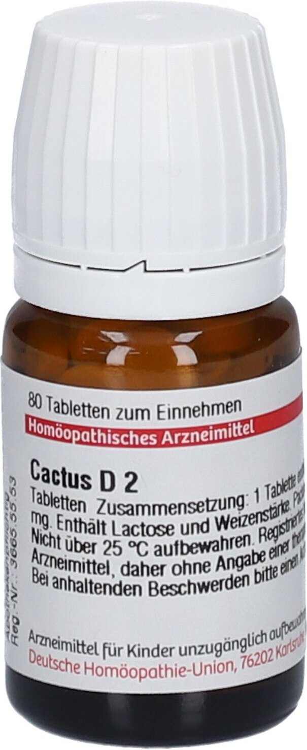 Cactus D 2 Tabletten 80 St