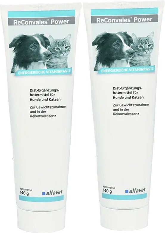 Thumbnail - ReConvales Power Doppelpack 2x140 g Paste