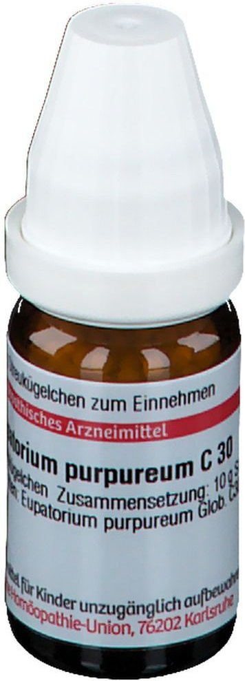 Eupatorium Purpureum C 30 Globuli 10 g