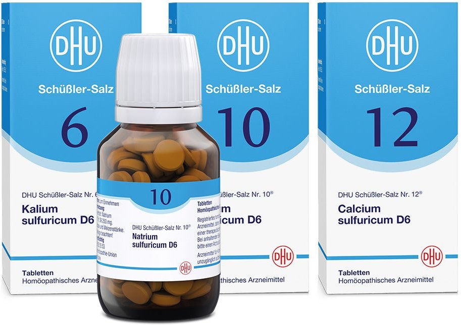 DHU Entgiftungskur 3x80 St Tabletten