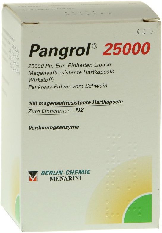 Pangrol 25.000 Hartkps.m.magensaftr.überz.Pell. 100 St Hartkapseln mit magensaftresistent überz. Pellets