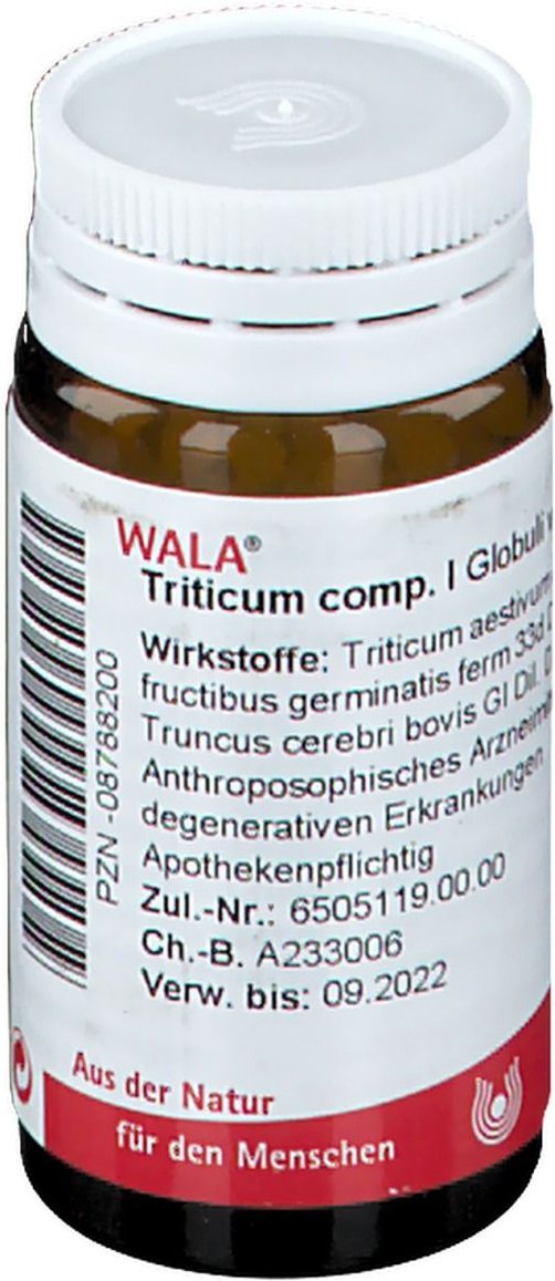 Triticum comp. I Globuli