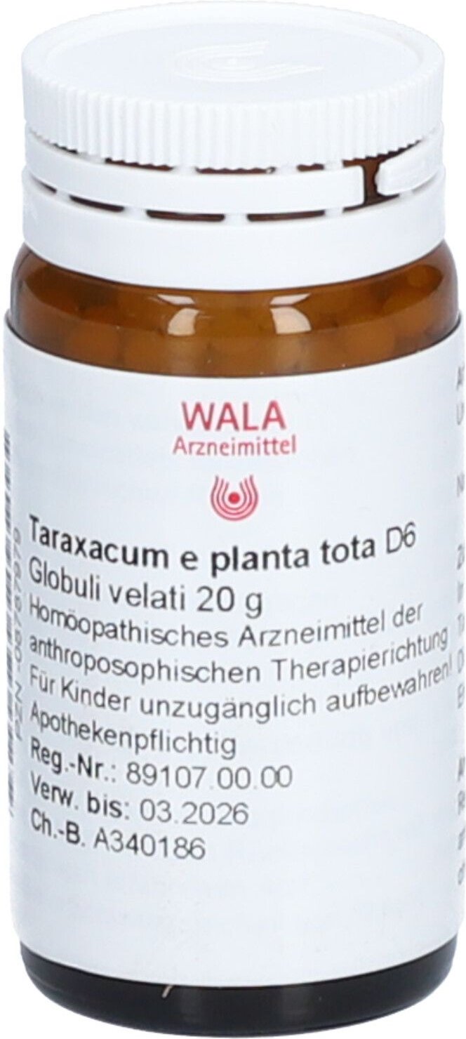 Taraxacum E D 6 G