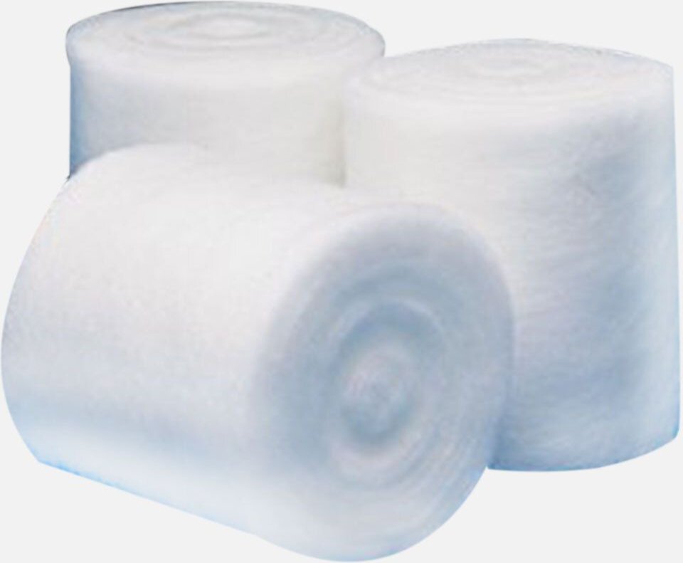 Polsterwatte Binde 10 cmx2,7 m Rolle Mw04 12 St Binden