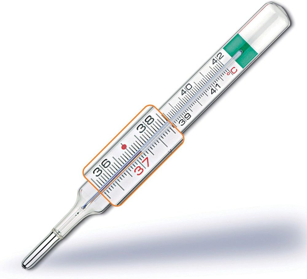Termometro Gallio Vedoeco PLU 1 St Thermometer
