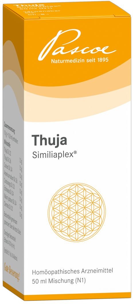Thuja Similiaplex Mischung