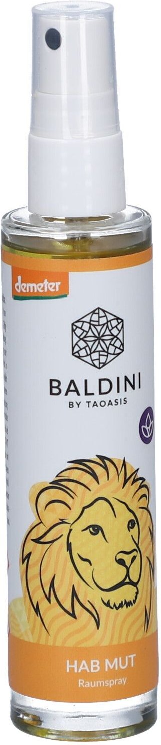 Baldini Hab Mut Raumspray 50 ml Spray
