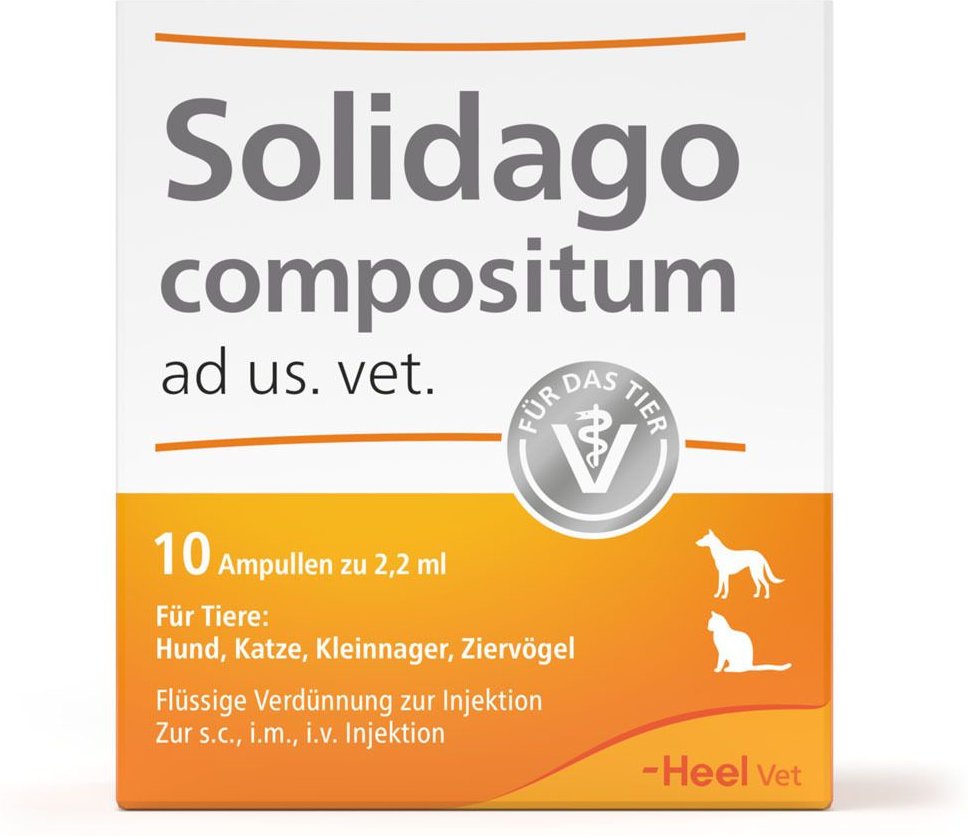 Solidago Compositum ad us.vet.Ampullen 10 St Ampullen