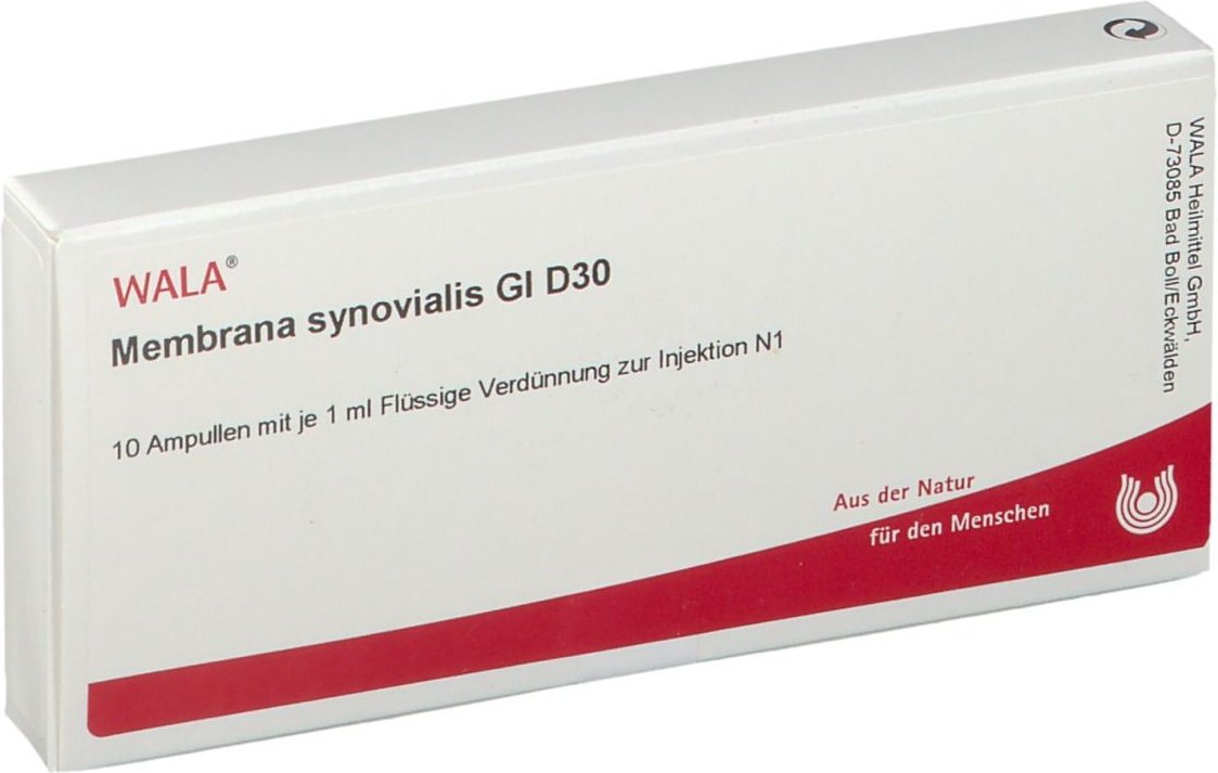 Membrana synovialis GL D 30 Ampullen 10x1 ml