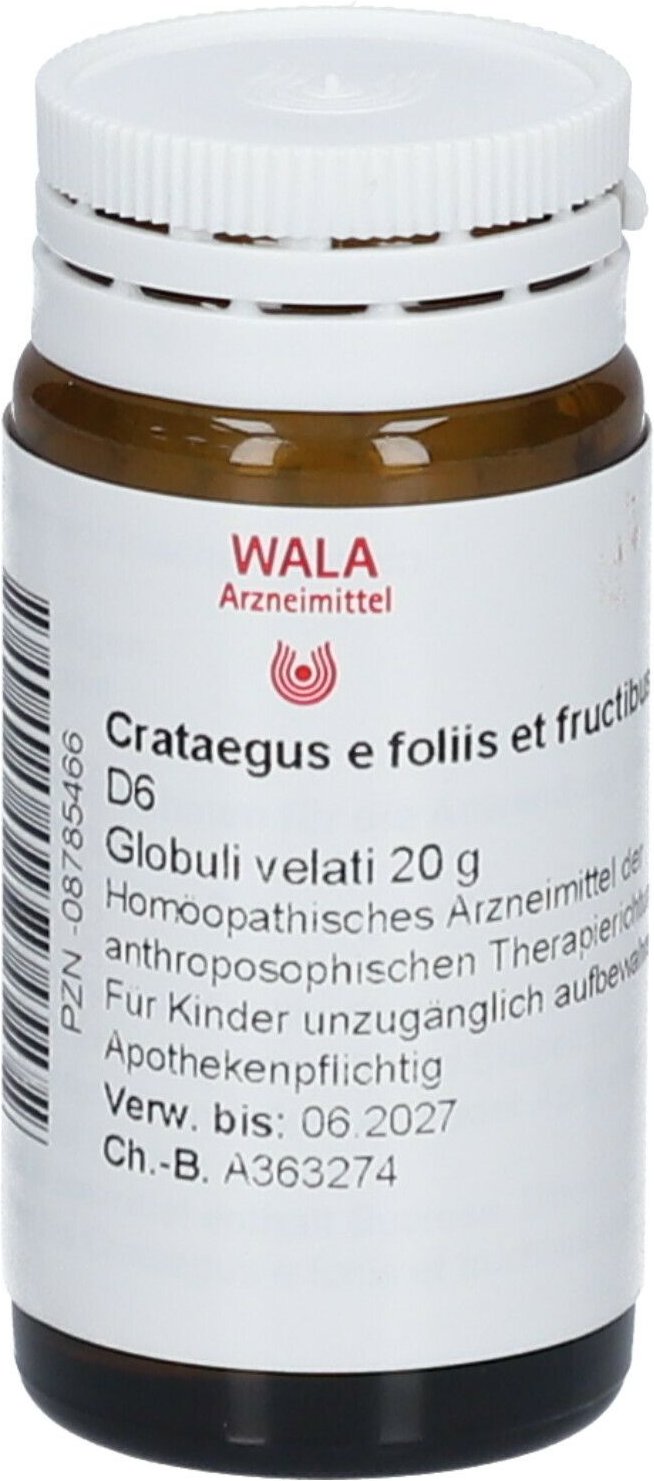 Thumbnail - Crataegus E foliis et fructibus D 6 Globuli 20 g