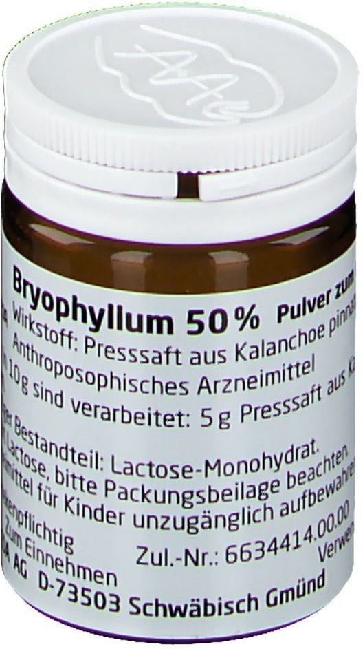 Bryophyllum 50% Pulver zum Einnehmen 20 g