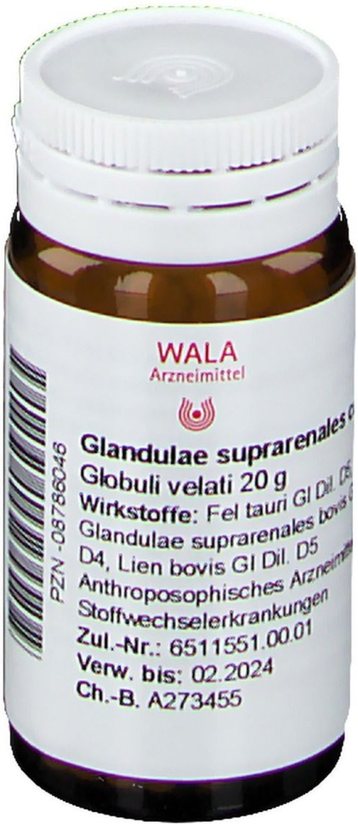 Glandulae Suprarenales comp.Globuli 20 g Globuli