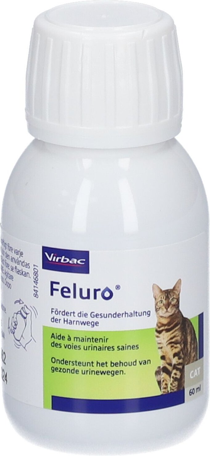 Feluro Orale Susp Katze 60 ml Suspension