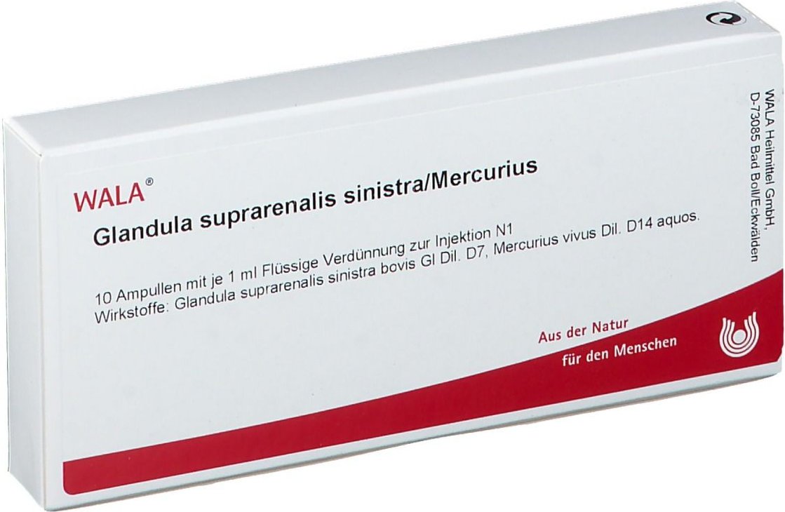 Glandula suprarenalis Sinistra / Mercurius Ampullen