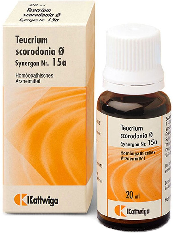 Synergon Komplex 15a Teucrium Tropfen 50 ml