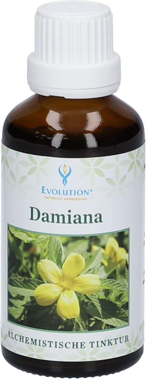 Alchem.tkt KR Damiana 50 ml Tinktur