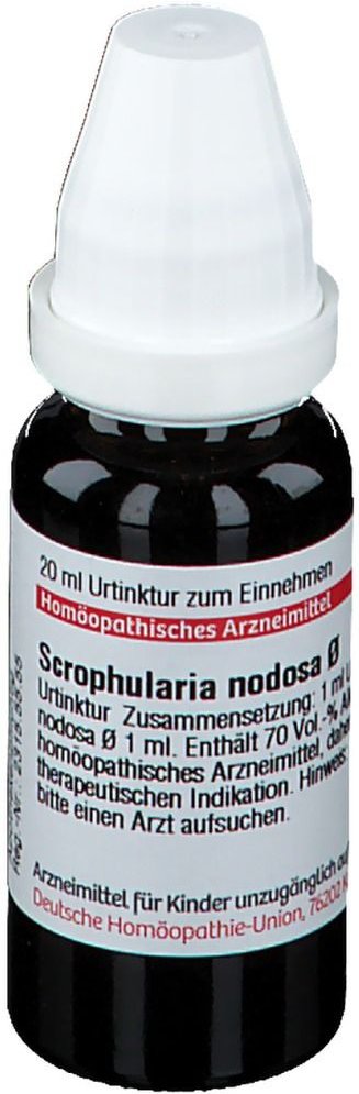 Scrophularia Nodosa Urtinktur 20 ml Dilution