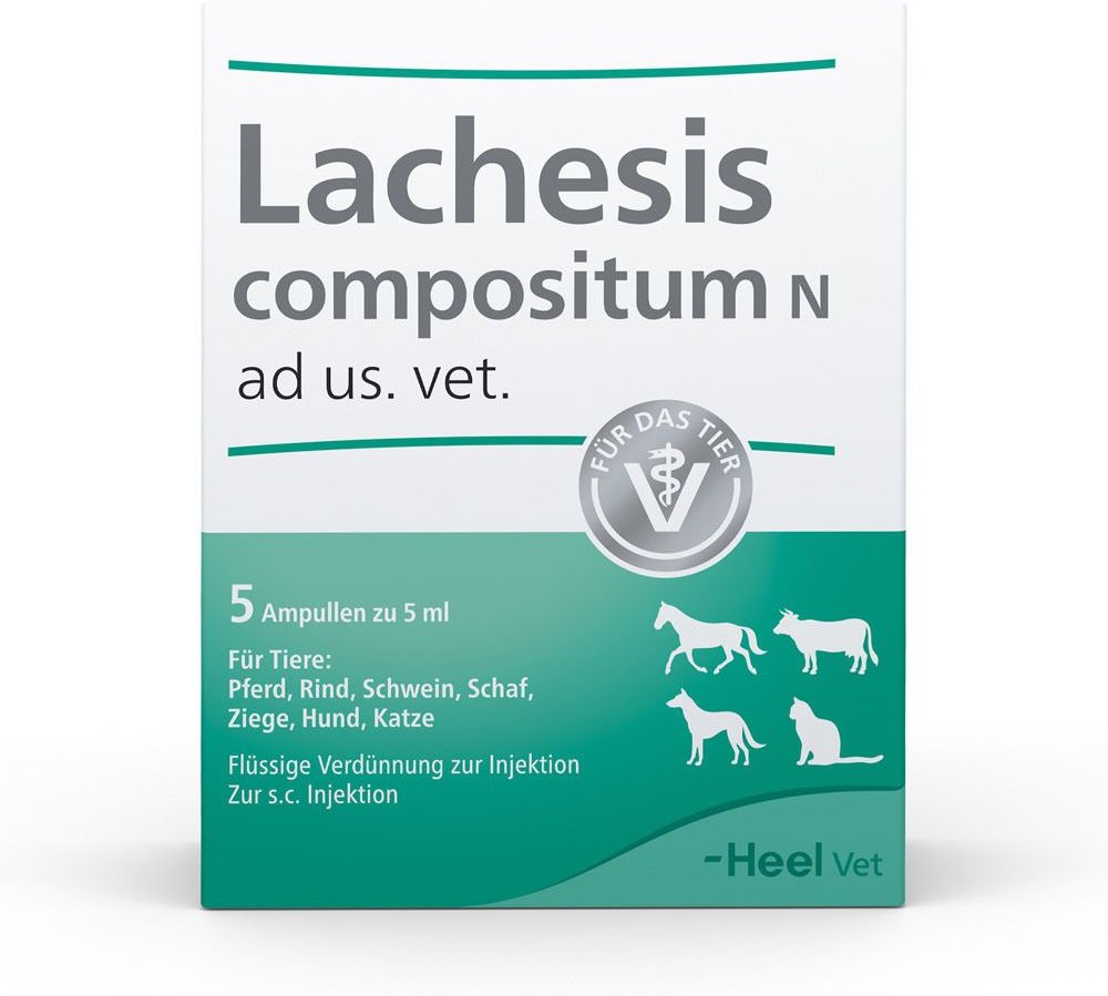 Lachesis Compositum N ad us.vet.Ampullen 5 St Ampullen