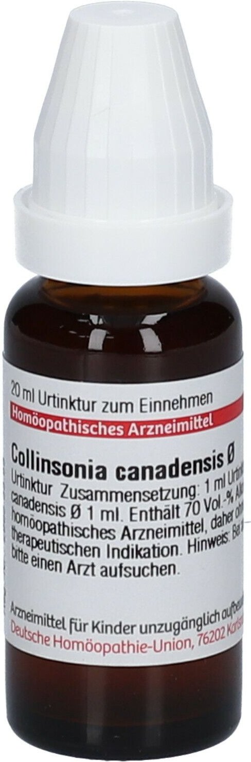 Collinsonia Canadensis Urtinktur 20 ml Dilution