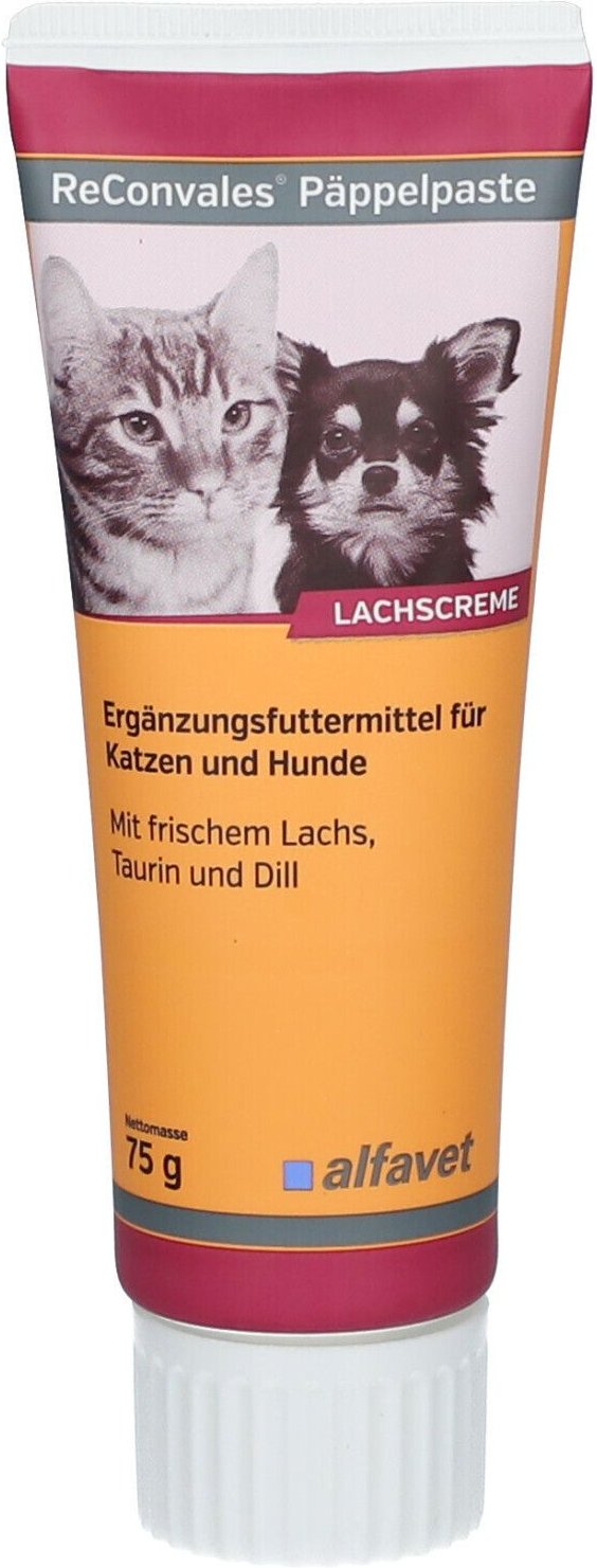 Thumbnail - Reconvales Päppelpaste f.Hunde/Katzen 75 g Paste