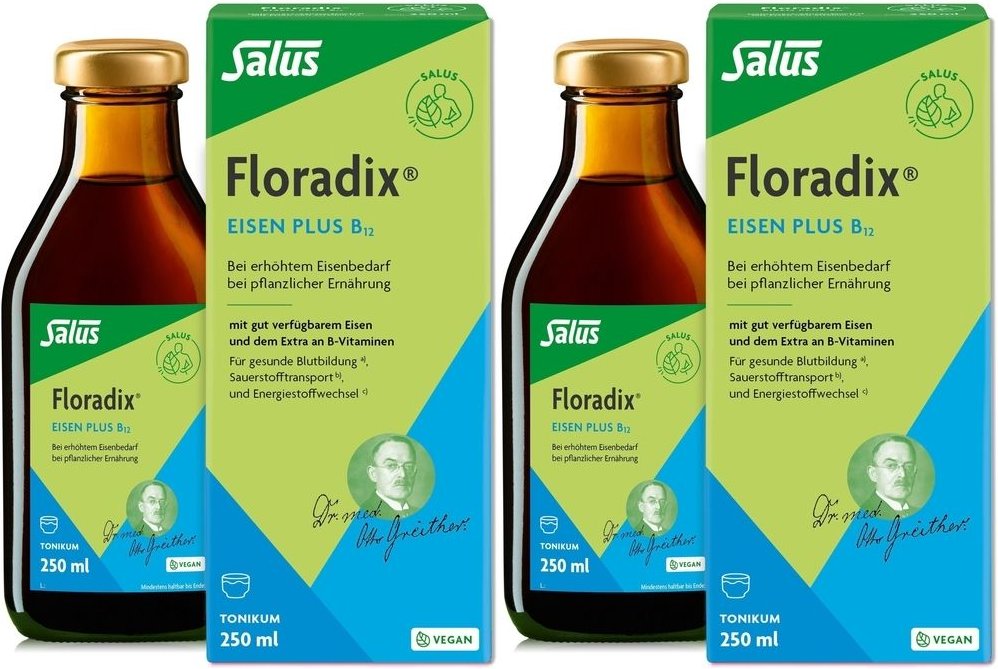 Floradix Eisen plus B12 vegan Tonikum 2x 2x250 ml