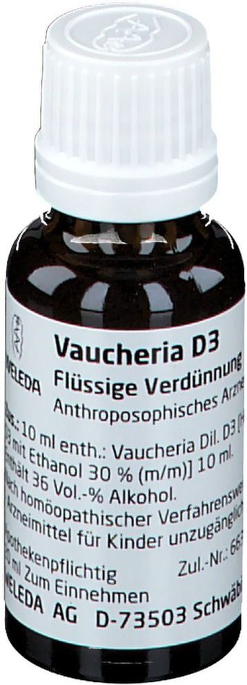 Vaucheria D 3 Dilution 20 ml